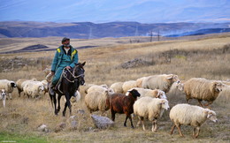 Армянский пастух / Армения, по дороге из Татева на Севан
