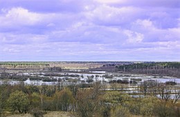 Десна разлилась / Быстрое таяние снега и прошедшие дожди привели к разливу Десны.