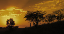 &nbsp; / Abendstimmung in der HANNA LODGE in Südafrika.