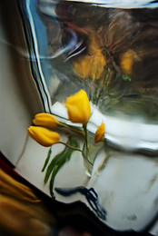 натюрморт с тюльпанами и синими ножницами / желтые тюльпаны, ножницы