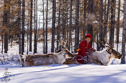 Mongolian reindeer boy / Mongolian reindeer boy