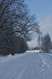 Зимняя дорога_3 / зима