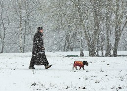 "У природы нет плохой погоды..." / "Ах, метель такая, просто черт возьми.
Забивает крышу белыми гвоздями ..."
С.Есенин