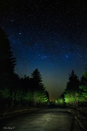 По дороге через лес к звездам / По дороге домой от родителей, ночь и звезды были непередаваемы, но я их попробовал передать на фотографии