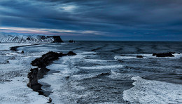 У холодных берегов / Рейнисфьяра, Исландия