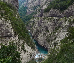 Каньон реки Тара / Та́ра (черногор. Тара/Tara) — река в Черногории и Боснии и Герцеговине. Образуется при слиянии рек Опасница и Веруша, течёт 144 км на север по территории Черногории, затем — Боснии и Герцеговины, где, сливаясь с рекой Пивой, образует реку Дрина. На реке в её верхнем течении стоит город Мойковац.

В среднем течении Тара образует самый глубокий каньон Европы (длина 82 км, глубина до 1 300 м). Каньон (en) внесён в список Всемирного наследия ЮНЕСКО как часть национального парка Дурмитор. Реку пересекает величественный мост Джурджевича. Этот мост стал визитной карточкой региона, и снят в военном боевике Ураган с Навароне. Рафтинг по Таре — один из наиболее популярных видов туризма в Черногории.