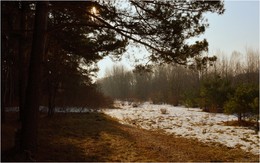 Мы думали это весна, а это оттепель / ***