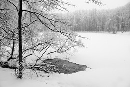 Чародейкою-Зимою околдован лес стоит... / "Чародейкою-Зимою
 Околдован, лес стоит -
 И под снежной бахромою,
 Неподвижною, немою,
 Чудной жизнью он блестит.
 И стоит он, околдован, -
 Не мертвец и не живой -
 Сном волшебным очарован,
 Весь опутан, весь окован
 Легкой цепью пуховой ..."
Ф.Тютчев