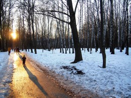 Золотая мартовская дорожка / Парк, прогулка