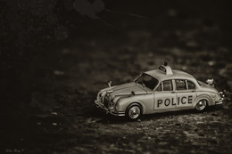 Коллекционная карточка / ***