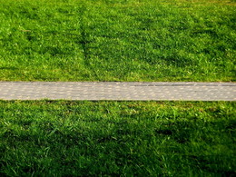 проезд по зеленой траве запрещен / зеленая трава
