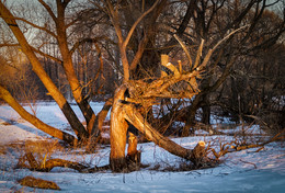Чудо-Юдо / 19 марта вечер