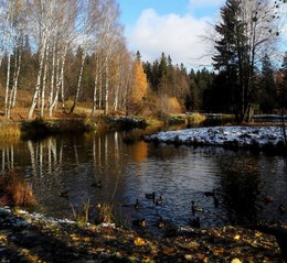 Первый снег... / Петербург. Шуваловский парк. Октябрь