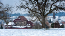 &nbsp; / Hagenwil, Kanton Thurgau, Schweiz