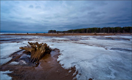 &nbsp; / Весна, берег Камы