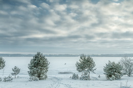 Каунас Лагуна / Замороженная и заснеженным Каунасский лагуны в середине зимы