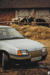 Opel Kadett / Opel Kadett