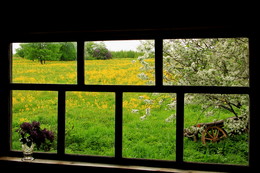 Весеннее окно / ***
