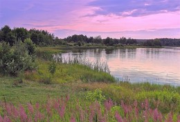 Вечер на озере / После прошедшей грозы природа затихла, воздух наполнился озоном, к вечеру запели птицы, озеро сияло, как только что умылось.