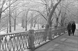 Александровский сад / Зима 1954-55 годов.