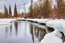 весенние мотивы... / мартовские прогулки