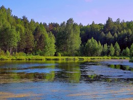 Лето в разгаре / Лето в разгаре, зелень бушует,
Синева упала с неба в воду,
И от красок природа ликует,
Кто ж не любит такую погоду!
Слабая рябь по глади бежит,
Тени скользят по воде,
Озеро синее в небо глядит,
И красота такая здесь везде!