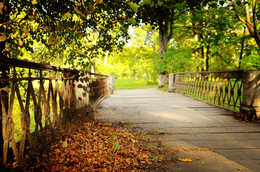 / Больше фото по ссылке: http://steklo-foto.ru/photogellary