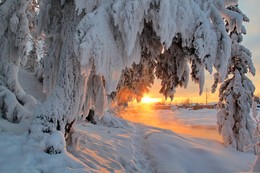 Долгие Сибирские зимы... / Засмотревшись на заснеженные ели, солнце от блаженства заалело и залило благодатным светом ветви-лапы и ручей при этом.