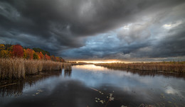 Mer Bleue Bog ~ Transparent Autumn / Mer Bleue Bog ~ Transparent Autumn