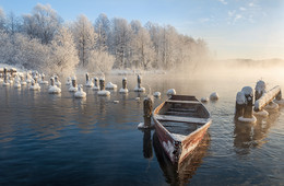 один день зимы. / однажды морозным утром на озере