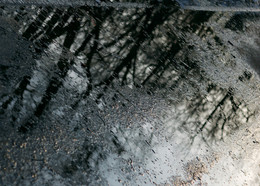 Прозрачные ритмы луж / заглядывая в глубинный мир луж...