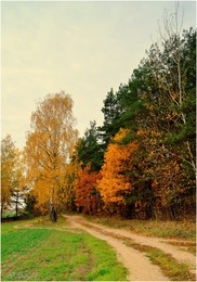 вдоль осеннего леса / ***