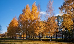 &nbsp; / Осенний городской пейзаж.....