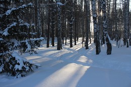 Навстречу свету в зимнем лесу / Паужин в зимнем лесу, свет пробивается между деревьев и солнце дарит лучи перед закатом.