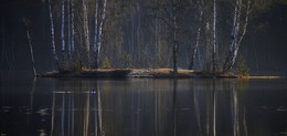 Берёзовый остров / Петербург. Осиновая Роща. Апрель