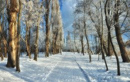 Дело было в парке / Краснодар, январское утро в парке Солнечный Остров.