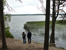 Дело было в парке / Прогулка в парке Монрепо. Город Выборг, Ленинградская область.