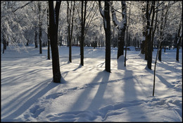 Зимний парк / морозное утро
