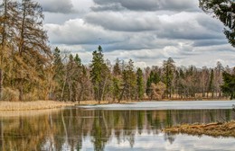 Апрельский парк... / гатчинский парк