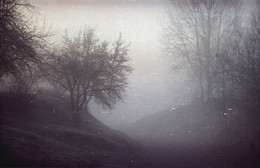 В тумане. / Фотография снята мною на старенький Зенит.
