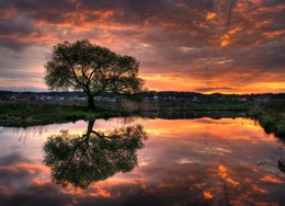 Опять закат кровавит небеса… / Фотопрогулки в вечернем свете. Апрель 2016 г. 

«Опять закат кровавит небеса,
Короткий день безжалостно кромсая.
Тяжёлых серых туч гряда косая
Дождями начинает провисать...

И замирают птичьи голоса,
Взволнованно-испуганные, в гнёздах.
Сочится тьма из беспределов звёздных
И влагой оседает в волосах...

Я жду, не отрывая взгляд, в тиши, 
Когда с землёю небеса сомкнутся.
И хочется в плечо твоё уткнуться,
Ища покой для тела и души...»

Татьяна Кузнецова