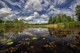 Карелия / озеро...