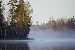 Тихая заводь / Карелия. Вуокса. Май