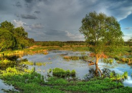 Вешние воды / Фотопрогулки в вечернем свете. Май 2016 г. 

«Люблю весну с этюдником встречать
И всё, что вижу, Вам хочу поведать.
В стихах, на полотне... как знать,
Может продлим на эту тему, мы беседу…» 

Татьяна Ипатова-Дерюгина