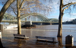 Пятница тринадцатого / Hochwasser 2011 Рейн поднялся в Кёльне