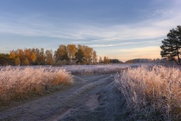 Осеннее утро. / ***