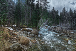 Река Гоначхир / КЧР.Тебердинский заповедник.