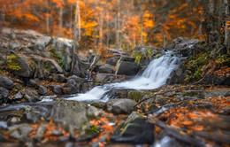 The Carbide Wilson Ruins / The Carbide Wilson Ruins