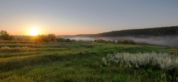 Рассвет в терновнике / ***