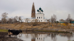 &nbsp; / Да, без гусей, но есть корова, грустная такая. Село Ясенево Ярославской губернии.